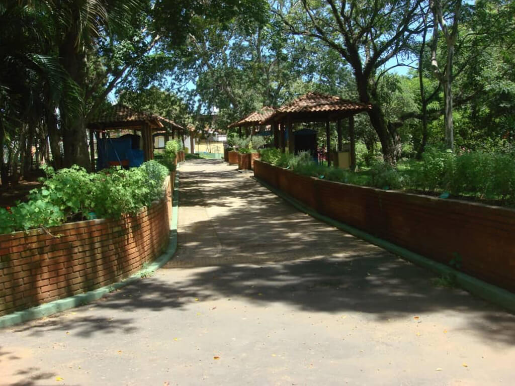 Horto Municipal - Socorro SP
